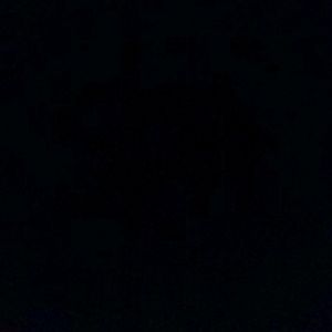 Meet your Posher, Fred